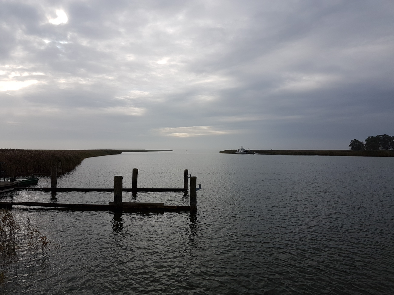 Barther Bodden