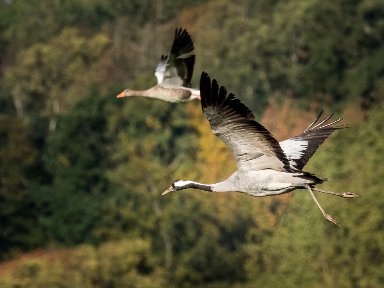 Abflug
