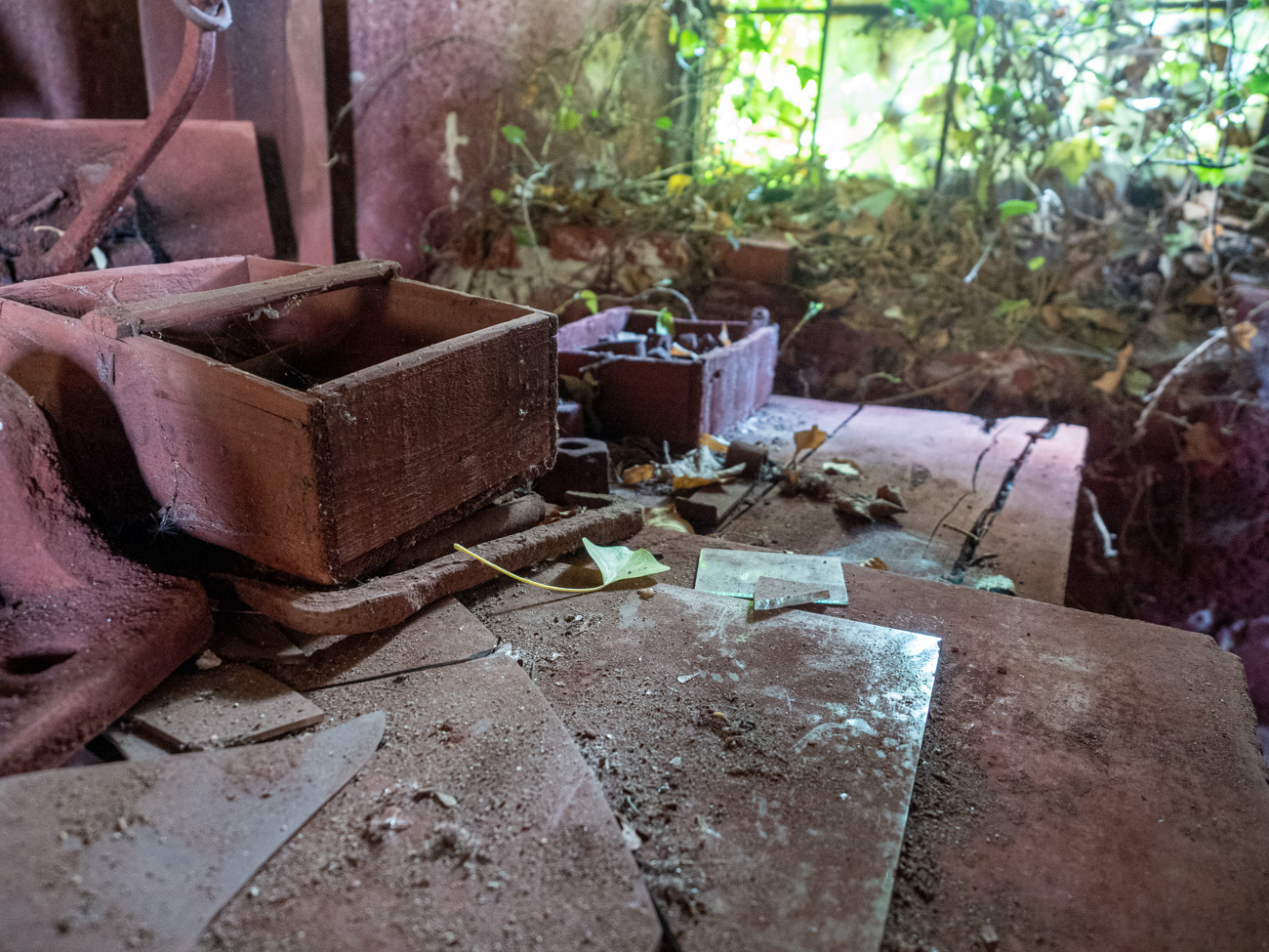 Rot und Staub