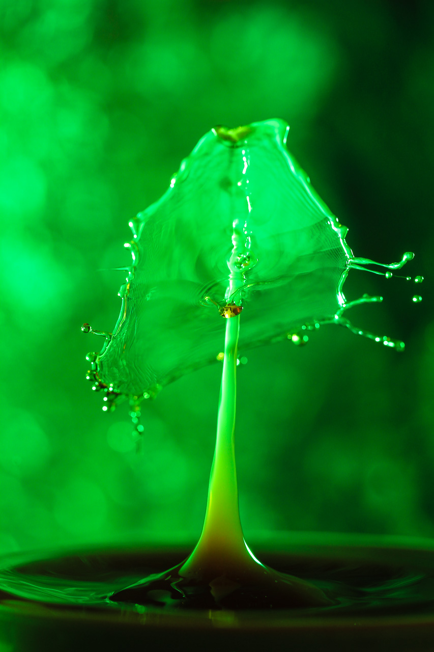 Splash