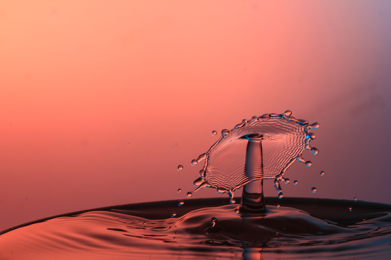 Splash